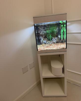 Acquario Askoll Pure M