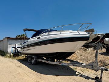 Ranieri 24 SEA LADY + Mercury 225 CV