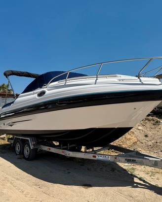 Ranieri 24 SEA LADY + Mercury 225 CV