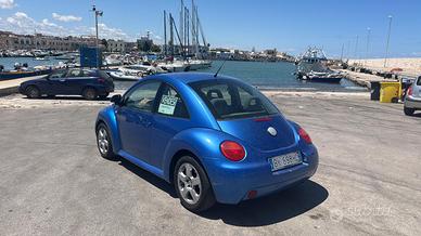 Maggiolone New Beetle