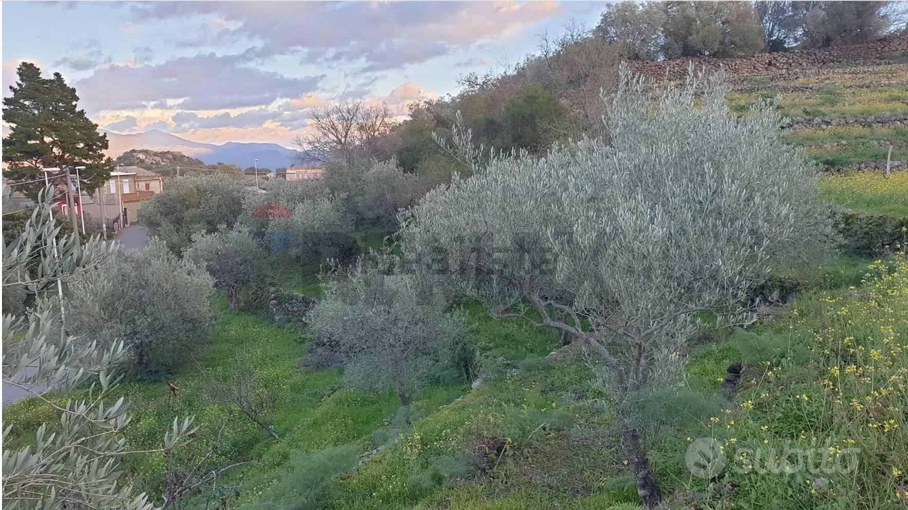 Terreno - Castiglione di Sicilia - Vista 2