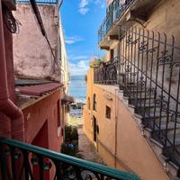 Pace - 2 locali semindipendente, con corte