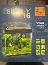 Acquario in vetro curvato