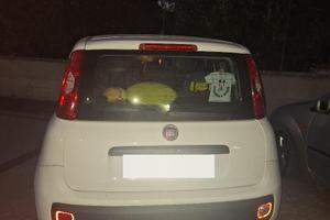 panda