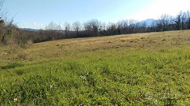 Terreno edificabile Montorio al vomano (Teramo)