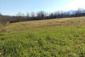 Terreno edificabile Montorio al vomano (Teramo)