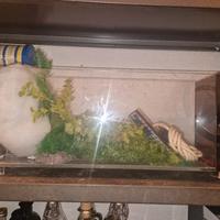 acquario con accessori