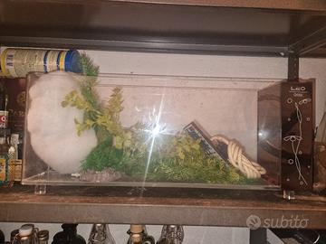 acquario con accessori