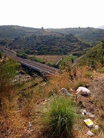 TERME VIGLIATORE Terreno agricolo