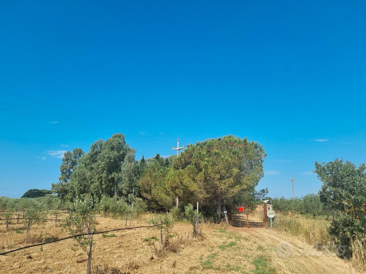 Terreno agricolo Loc Carbonifera - Vista 4