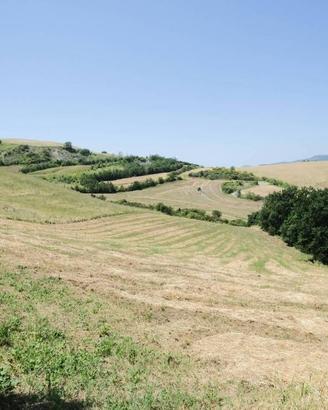 Terreno di 2511 m² a Gemmano