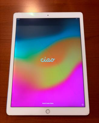 IPad Pro 12.9 Seconda Generazione 256gb Cellular