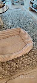 cuccia cane