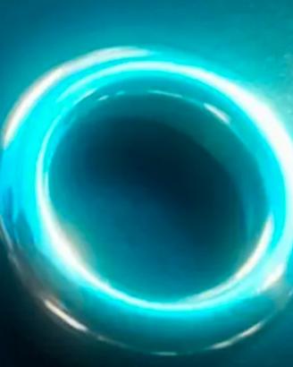 Appoggio Breslmair GT per tromba