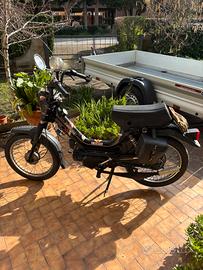 Rizzato Califfone 50