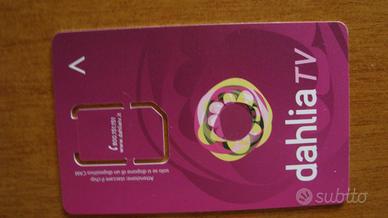 Tessera Dahlia Tv