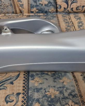 Forcellone Bmw GS Liquido