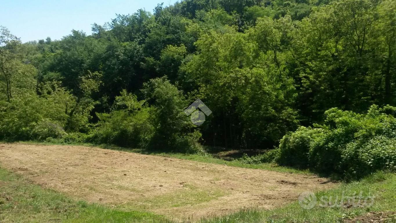 TER. AGRICOLO A TEOLO - Altro