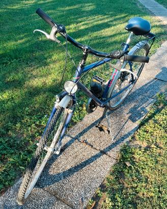 bicicletta da uomo