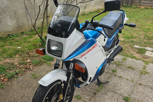 Suzuki Gsx