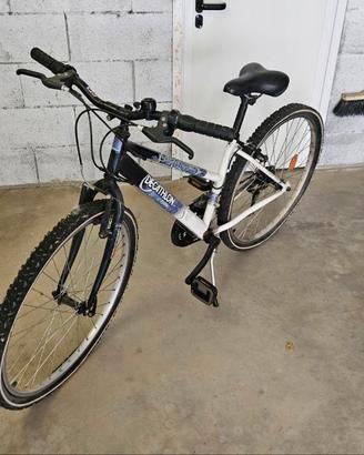 Mountain bike decathlon