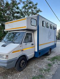 Daily trasporto cavalli