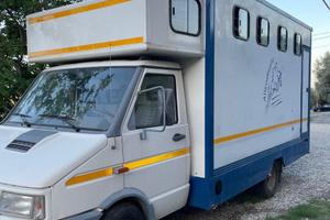 Daily trasporto cavalli