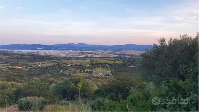 Terreno Agricolo a Olbia