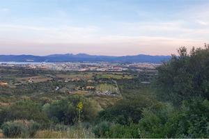 Terreno Agricolo a Olbia