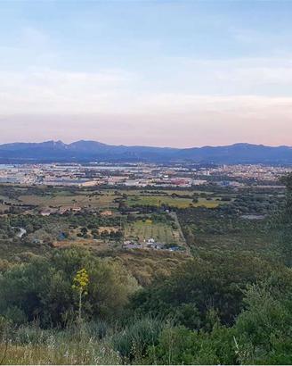 Terreno Agricolo a Olbia