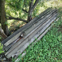 Pali di cemento