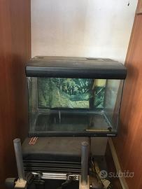 ACQUARIO PER PESCI