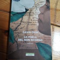 libro romanzo