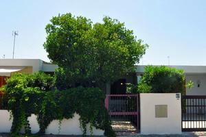 Vacanza Mare Torre dell'Orso