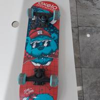 skateboards