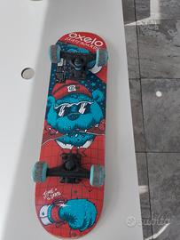 skateboards