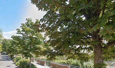 Lungo fersina ultimo piano