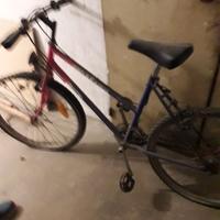 Mountain bike