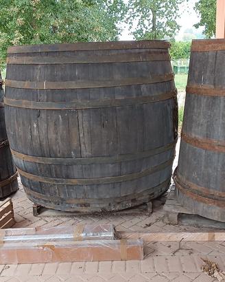 VECCHIE BOTTI VINO