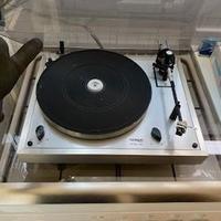 PIATTO VINTAGE PER DISCHI DI VINILE
