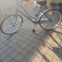 bicicletta da passeggio 