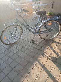 bicicletta da passeggio 