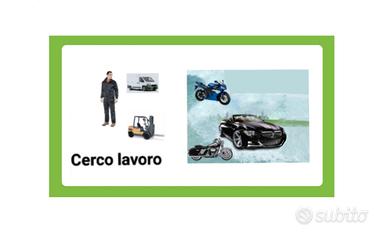 carrellista part time parcheggio autista locale 