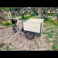 bicicletta triciclo elettrica 