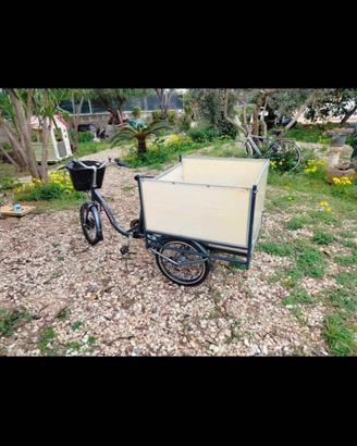 bicicletta triciclo elettrica 