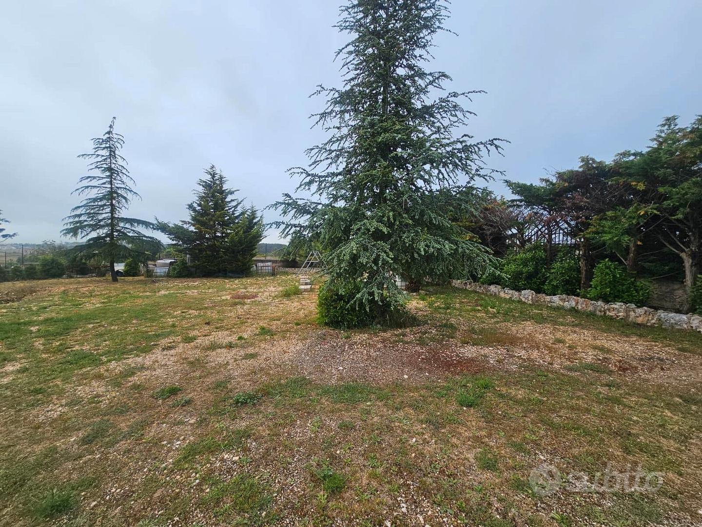 Terreno ideale per deposito BA003776 - Vista 3