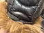 Immagine 3