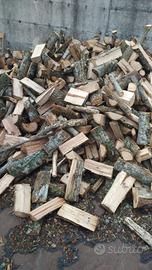 Legna quercia cerro faggio