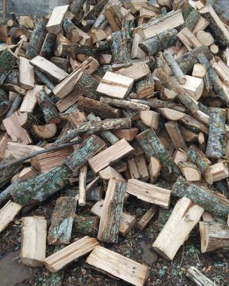 Legna quercia cerro faggio