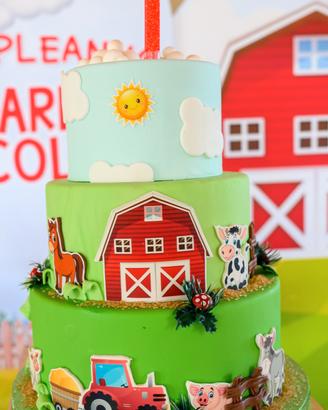 torta decorativa la fattoria primo compleanno